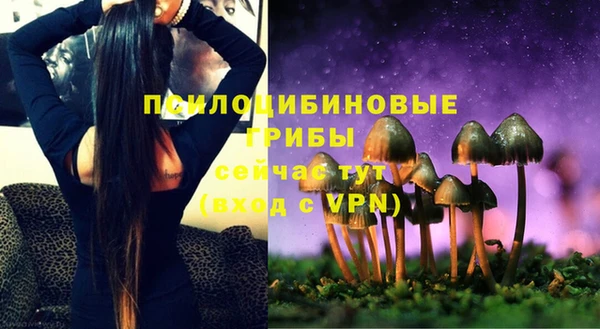 сатива Алексеевка
