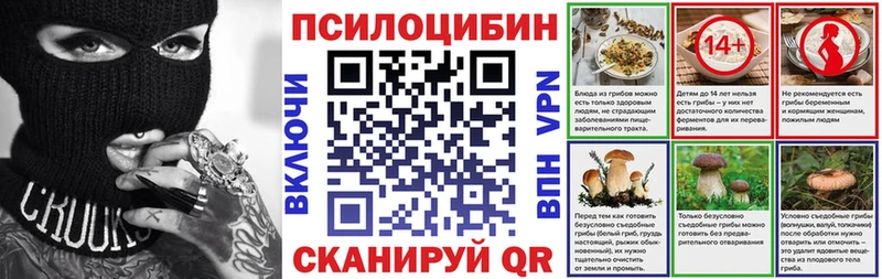 мега онион  Новодвинск  Псилоцибиновые грибы Psilocybe 
