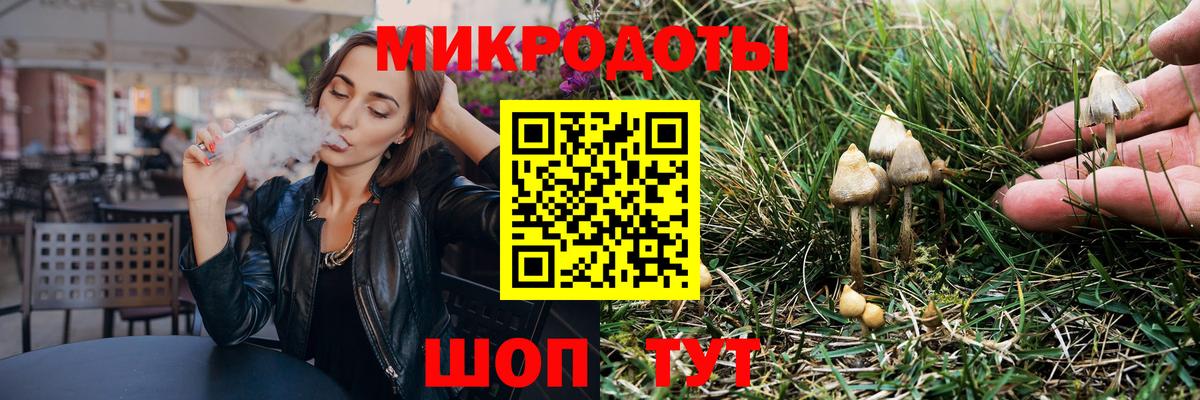 Псилоцибиновые грибы Magic Shrooms  купить закладку  Новодвинск  Вход с VPN 