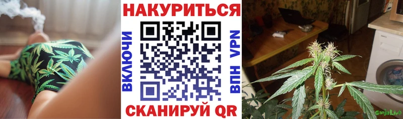 Шишки марихуана Ganja  Новодвинск 