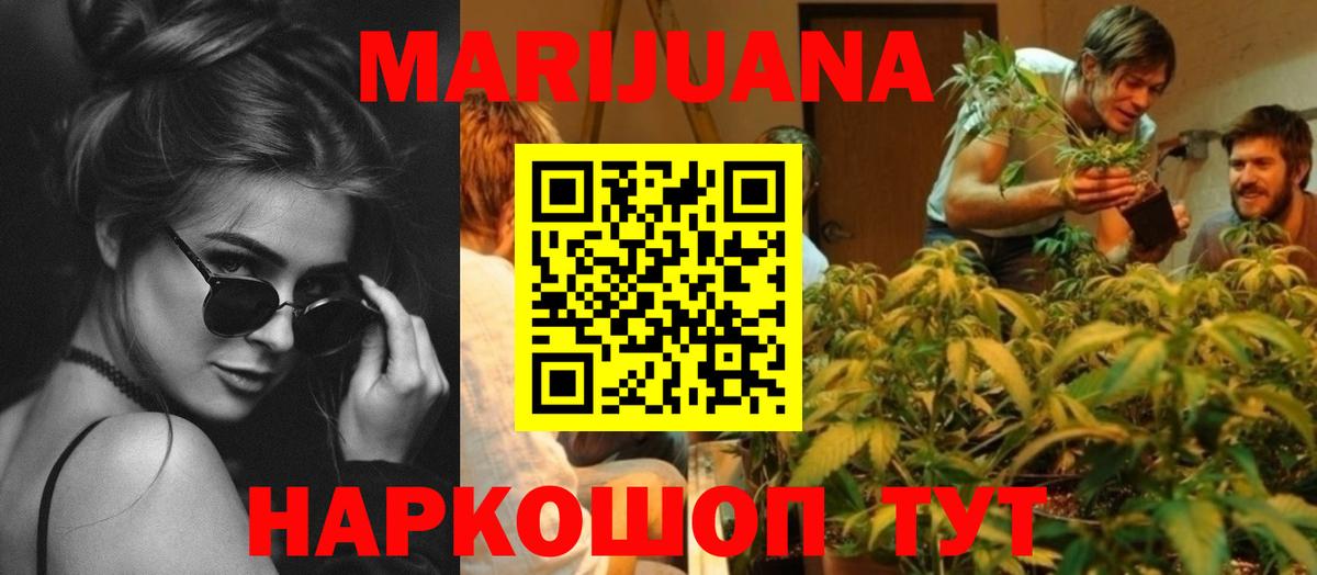 Каннабис сатива Новодвинск
